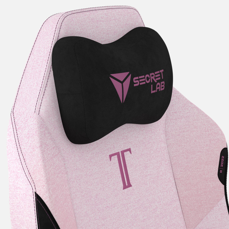 R22SW-PlushPnk_Pillow.jpg